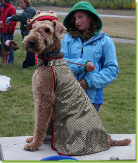 Calgary Airefest 2007 - Fergus