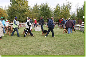 Calgary Airefest 2007 - Fun and games