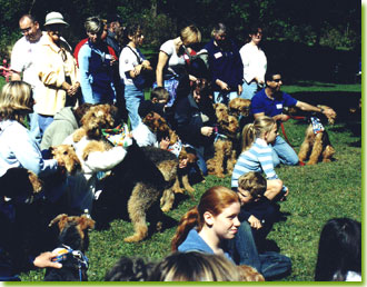 The Fun Day 2004 gang get ready for their close-ups.