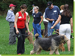 Strolling about at the Fun Day