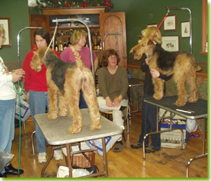 Grooming seminar