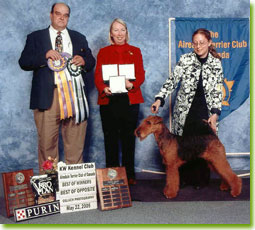 Can. Ch. Ingle Valley Royal of Glenayr-Aire Spec