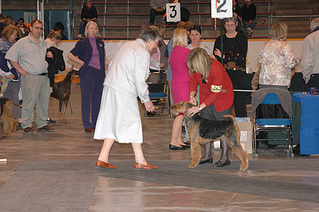 #267 Standing for examination
