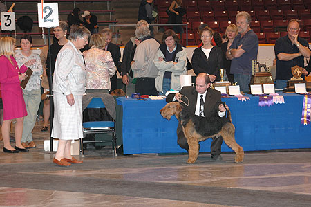 #814 Standing for examination