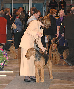 Open male class waiting for the Judge
