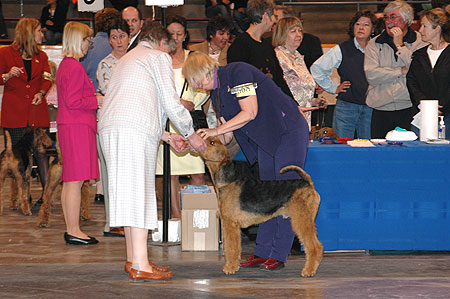 #668 Standing for examination - let's see those teeth!