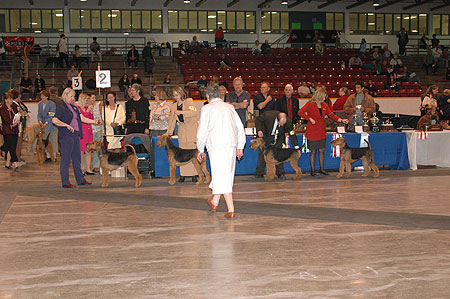 Winners Male Class