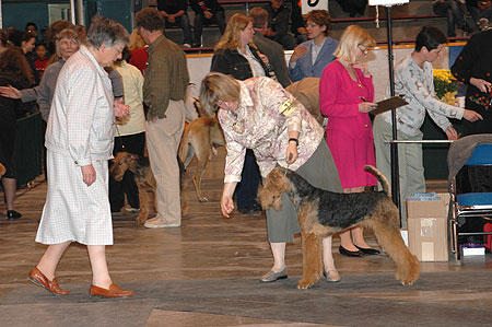 #232 Standing for examination