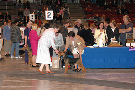 #157 Standing for examination
