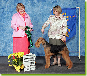 National Specialty 2006 - Best of Opposite Sex Sweeps