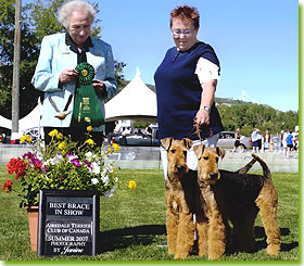 National Specialty 2007 - Best Brace