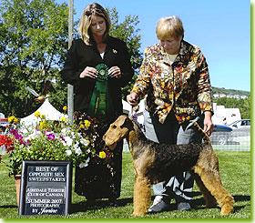 National Specialty 2007 - Best Opposite in Juvenile Sweeps