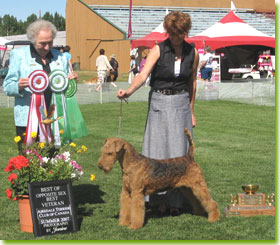 National Specialty 2007 - Best Veteran
