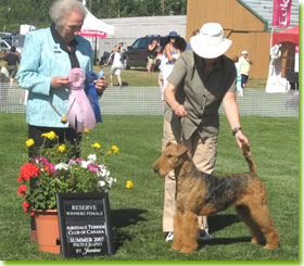 National Specialty 2007 - Reserve Winners Bitch