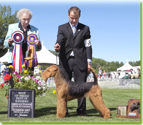 National Specialty 2007 - Winners Bitch, Best of Breed, Best of Winners