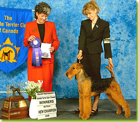 National Specialty 2008 - Winners Bitch