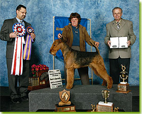 Best of Breed, Best of Winners 2009