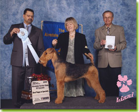 Best Puppy 2009