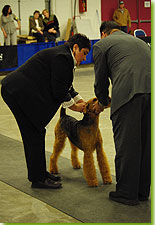 Reserve Winner 2009