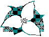 Click here for more information on the Fall Booster sponsored by the Trillium Dog Fanciers.