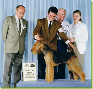 John and Ellie Voortman and their beloved CH Nanouska Van’ T Asbroek winning Best In Show. Photo taken by Alex Smith and courtesy of John and Ellie Voortman.